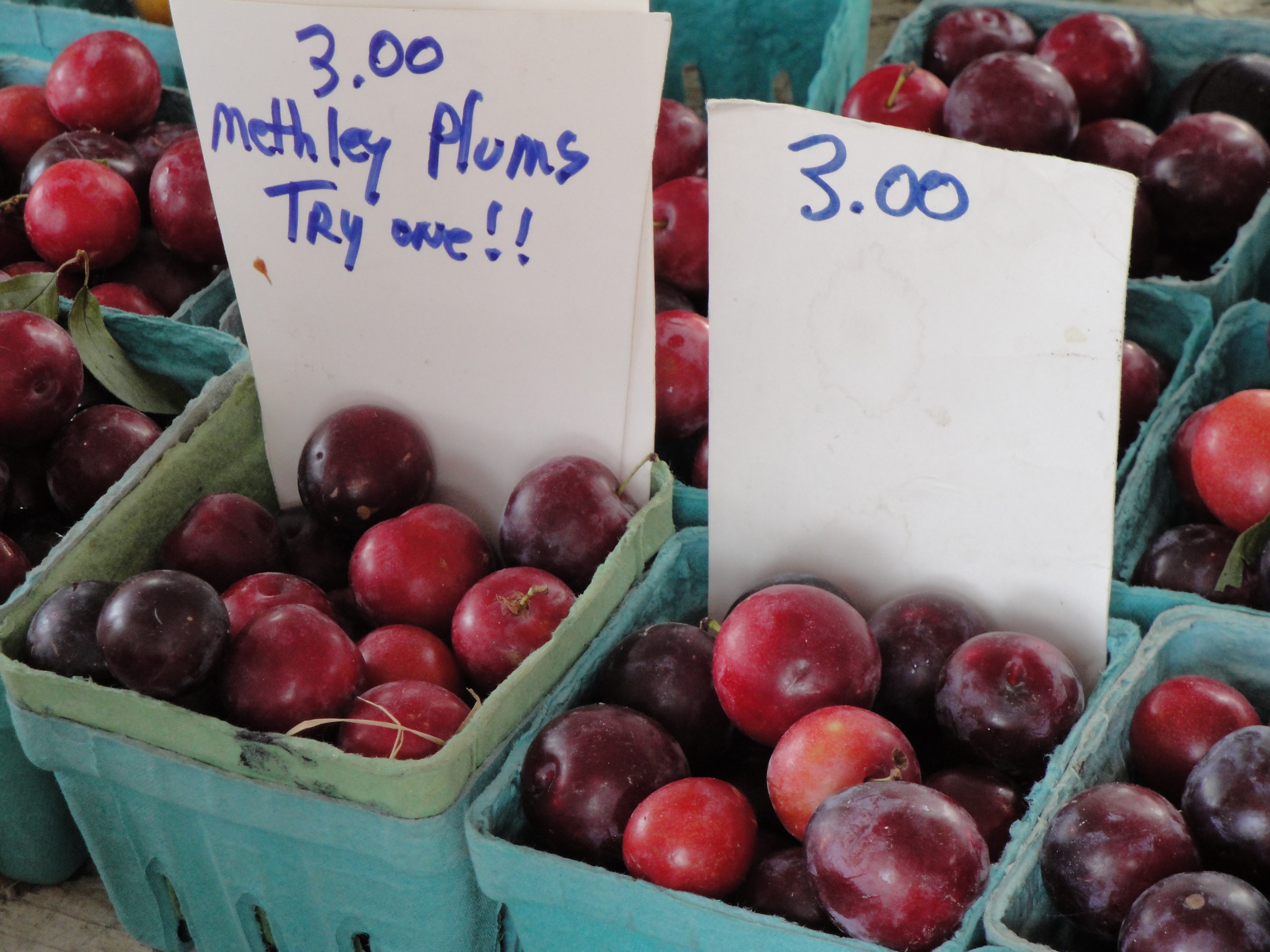 Plums are Tasty but Not Plumb Easy to Grow